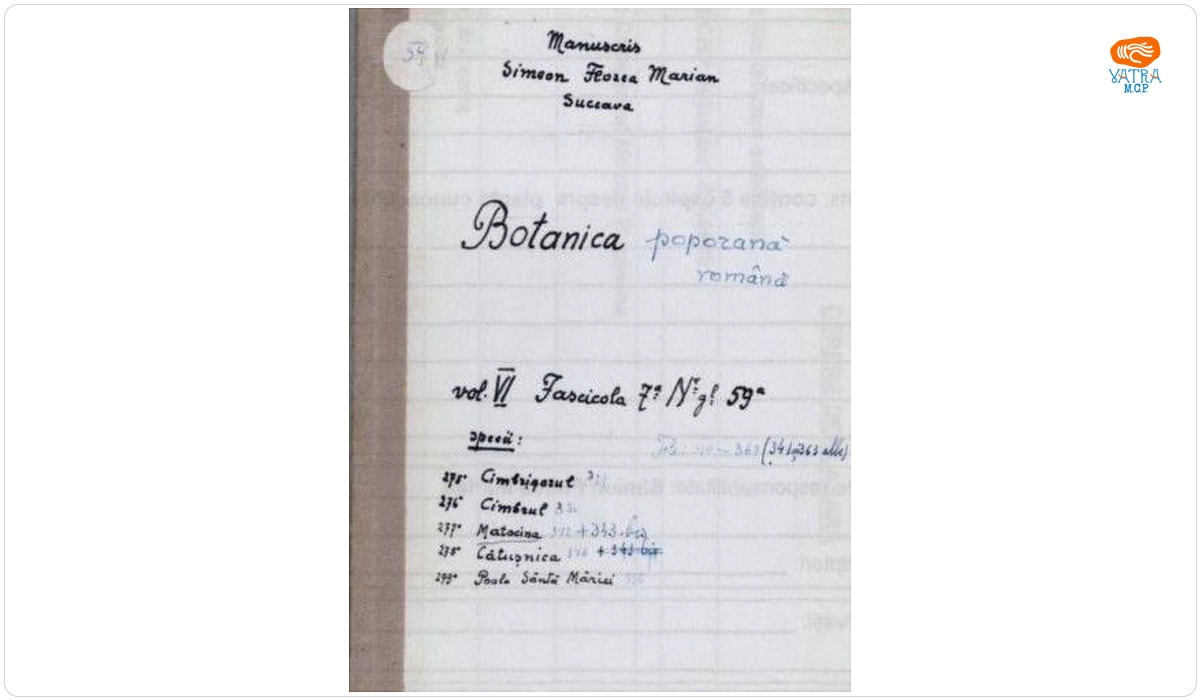 Botanica poporană română vol. VI, fascicola 7 specii: Cimbrișorul, Cimbrul, Matocina, Cătușnica, Poala Sânta-Măriei