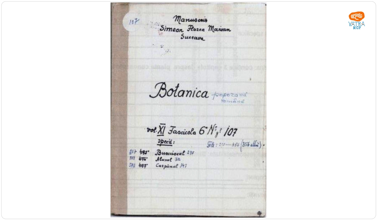 Botanica poporană română vol. XI, fascicola 6 specii: Busuiocul, Alunul, Carpănul