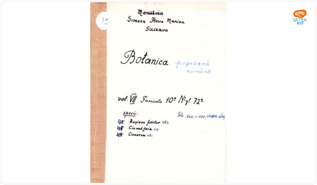 Botanică poporană: vol. VII, fascicola 10: specii: Rușinea fetelor, Ciumăfaia, Cicoarea
