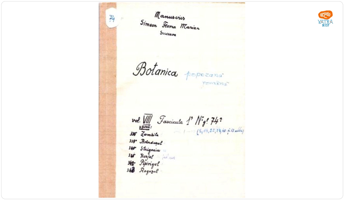 Botanică poporană: vol. VIII, fascicola 1: specii: Zambila, Brîndușul, Strigoaia, Horjul, Pipirigul, Rogozul
