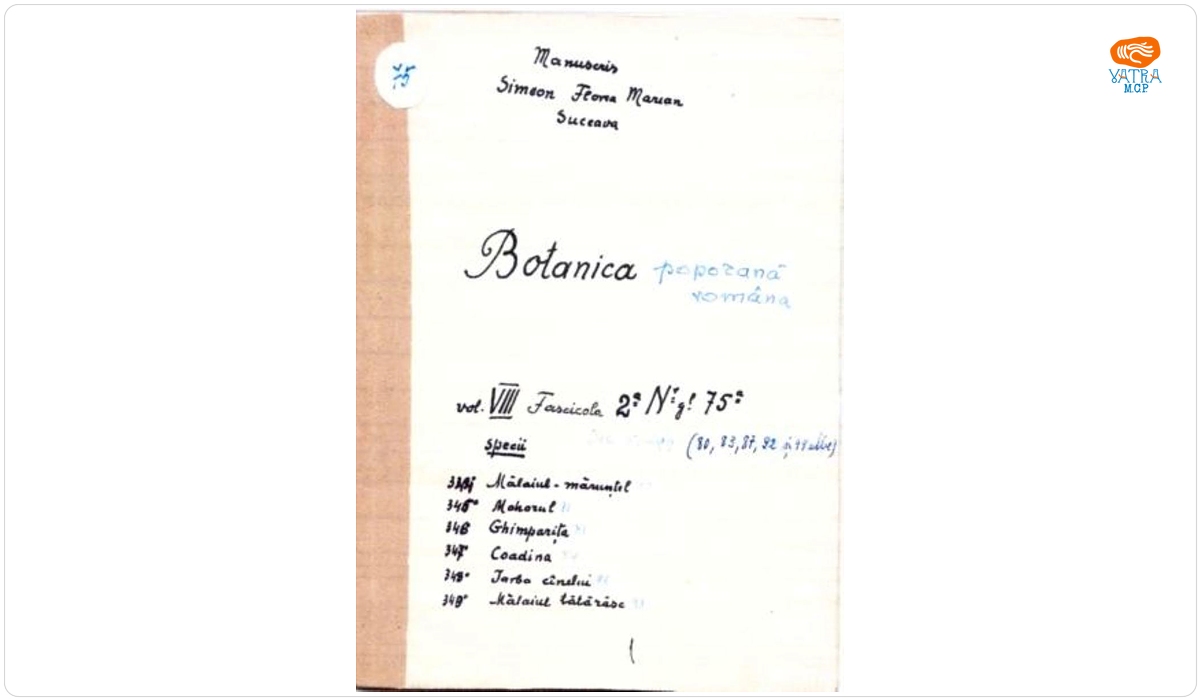 Botanică poporană: vol. VIII, fascicola 2: specii: Mălaiul mărunțel, Mohorul, Ghimparița, Coadina, iarba cînelui, Mălaiul tătăresc