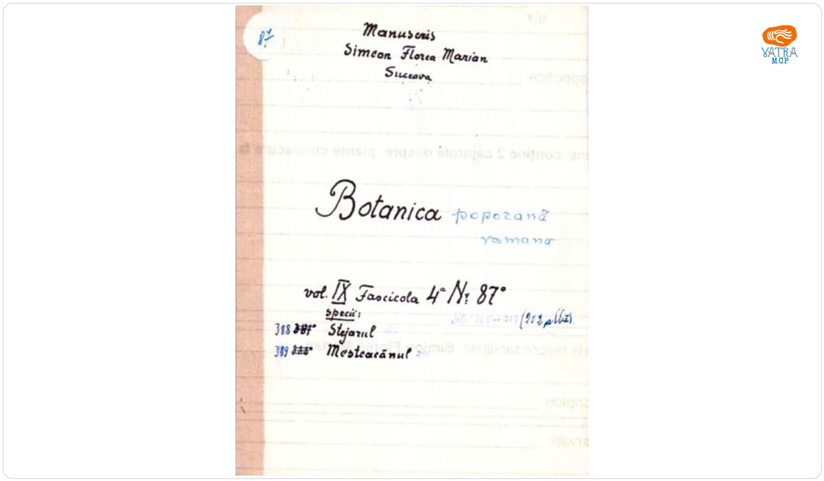 imion Florea Marian — Botanică poporană: vol. IX, fascicola 4: specii: Stejarul, Mesteacănul