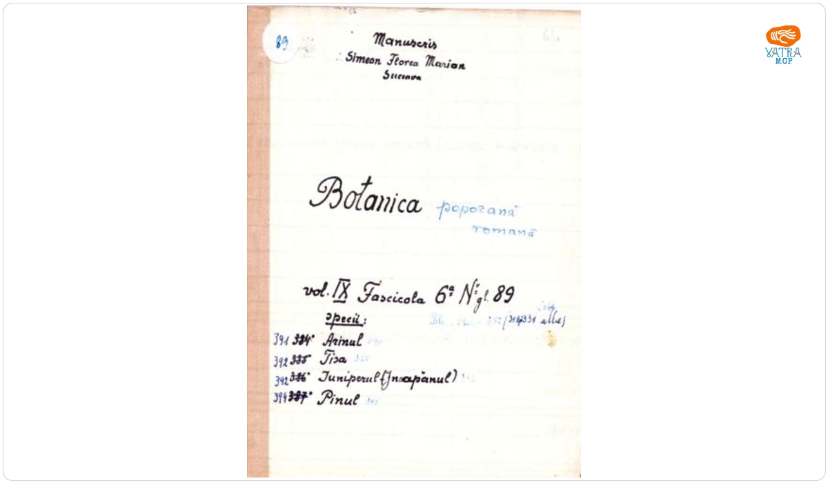 Botanică poporană: vol. IX, fascicola 6: specii: Arinul, Tisa, Iuniperul (Jnapănul), Pinul