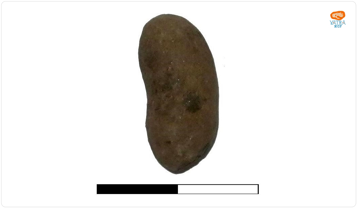 Obiect oval