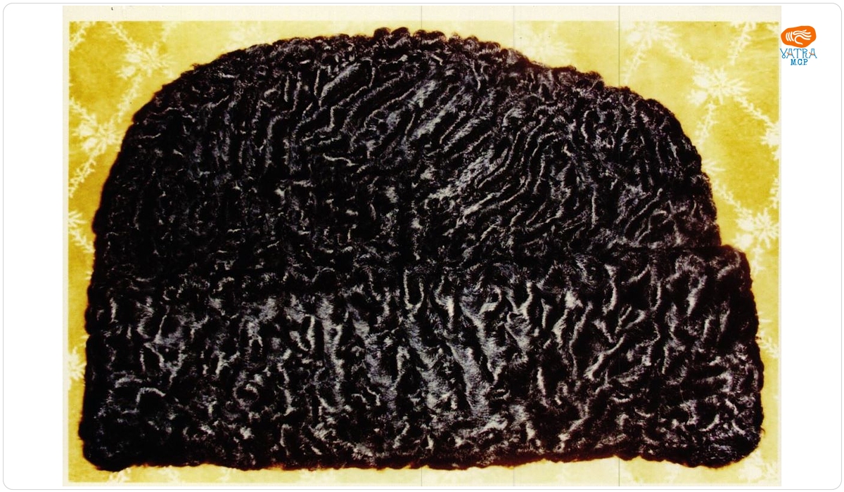 Căciulă de astrahan