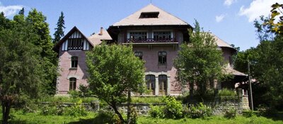Palatul Știrbei, Dărmănești, județul Bacău
