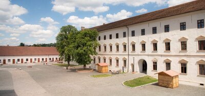 Muzeul Orașului Oradea, Bihor