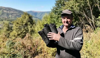 Iosif Bordea, meșterul cărbunar din Muntele Rece