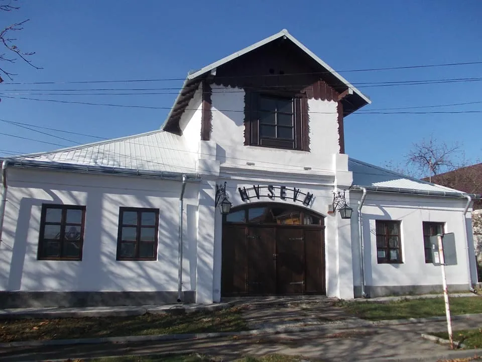 Muzeul de Arheologie Săveni, Botoșani