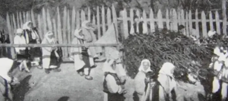 Cântecul Bradului în cadrul ceremonialului funerar
