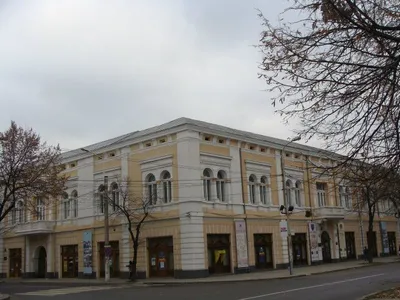 Muzeul Brăilei „Carol I”