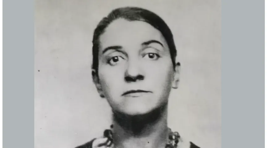 Silvia CAMBIR, pictor, ilustrator de carte