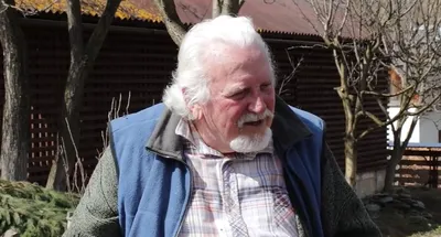 Liviu SUHAR, pictor