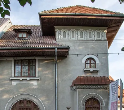 Muzeul Victor Babeș, București