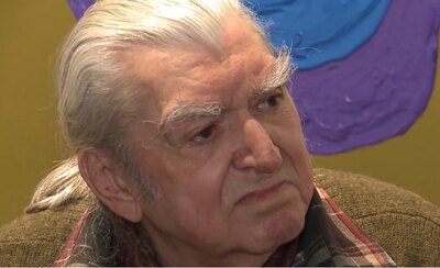 Vladimir ȘETRAN, pictor, profesor
