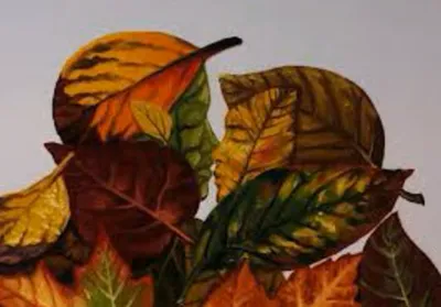 Mihai CRISTE, pictor