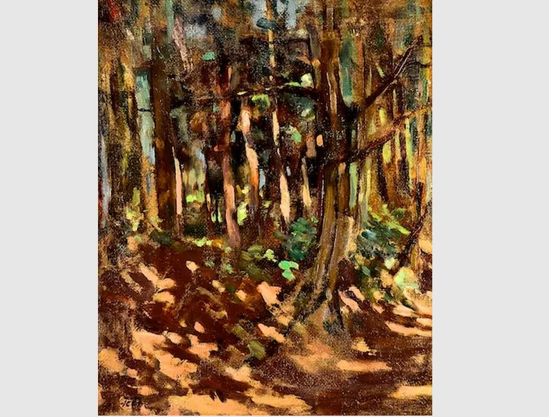 Petru FEIER, pictor