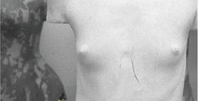 Marius Purice, sculptor