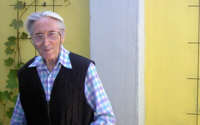 Stefan Sevastre, pictor