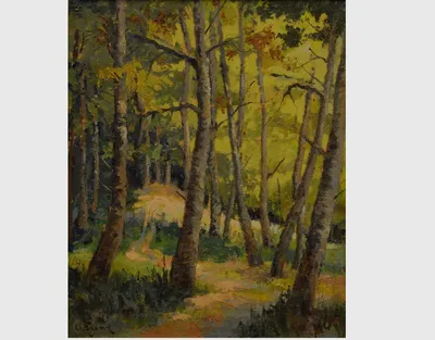 Angelina Uzum, pictor