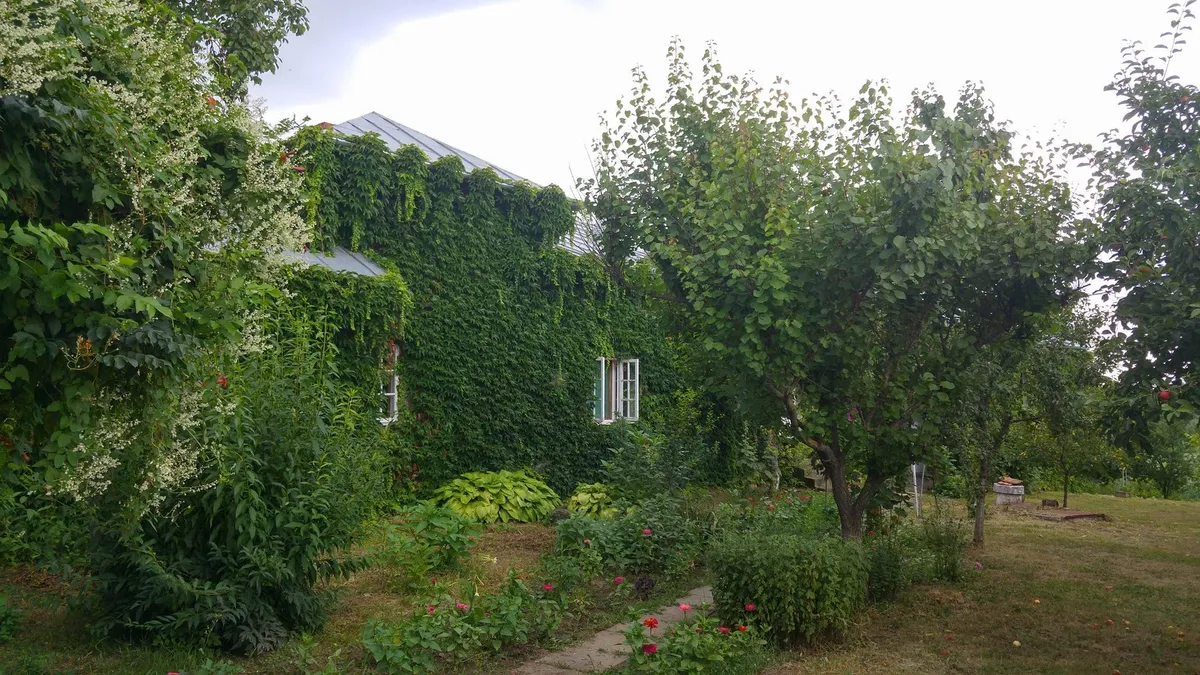 Casa Memorială Gellu Naum, Comana, Giurgiu