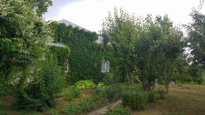 Casa Memorială Gellu Naum, Comana, Giurgiu