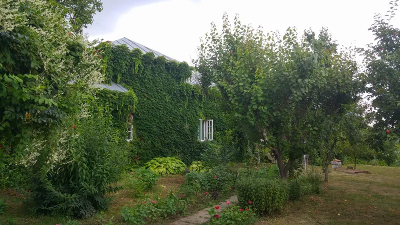 Casa Memorială Gellu Naum, Comana, Giurgiu