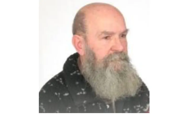 Vasile Saraci, pictor, grafician