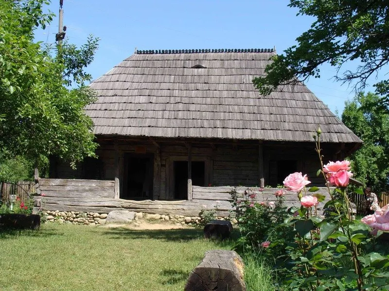 Casa-muzeu Constantin Brâncuși, Hobița, Gorj