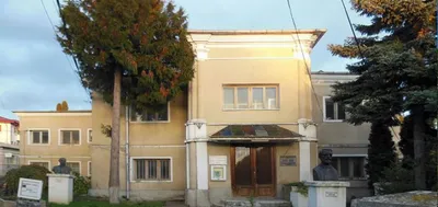 Muzeul Nicolae Gane, Iași