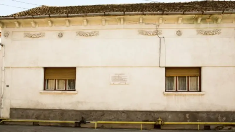 Casa Rubin Patiția, Alba Iulia