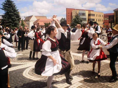 Ferenc Lovasz, maestrul jocului tradițional maghiar din Viștea, Cluj Ferenc Lovasz, maestrul jocului tradițional maghiar din Viștea, Cluj