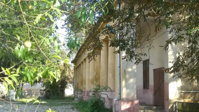Conacul Ștefan Cicio-Pop, Conop