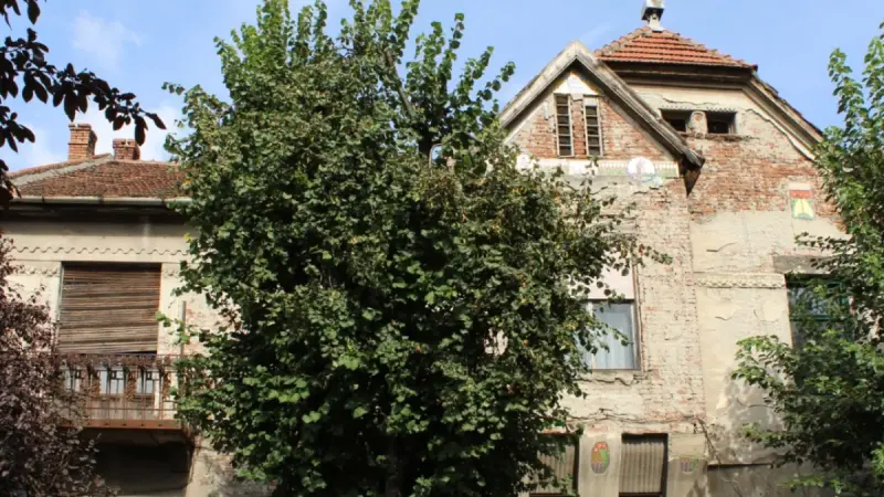 Vila Ödön Nachtnébel, Arad