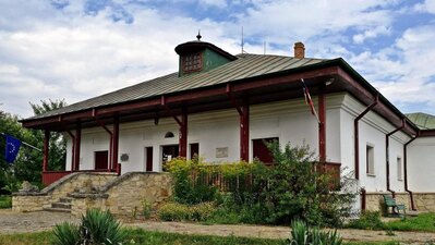 Casa Memorială Constantin Negruzzi, Trifești, Iași
