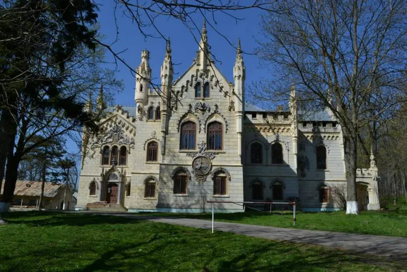 Castelul Sturdza, Butea, Iași