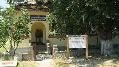Muzeul Gheorghe Ionescu Șișești, Șișești, Mehedinți