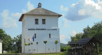 Cula Racovița, Mioveni, Argeș