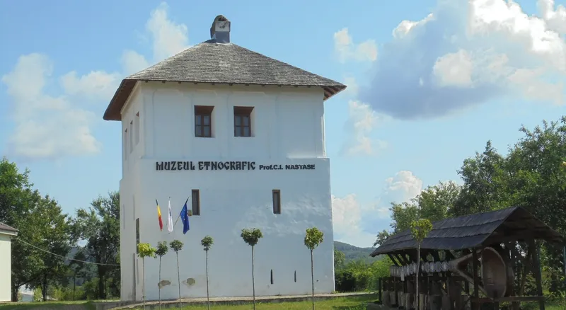 Cula Racovița, Mioveni, Argeș