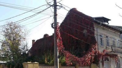 Casa Eugen Schileru din Brăila