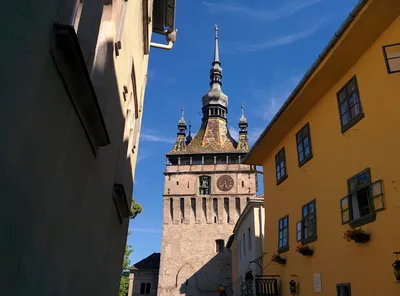 Casa Memorială Nicolae Cocea, Sighișoara, Mureș