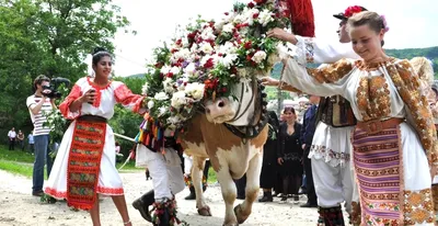 Boul înstruţat, sărbătoarea dedicată zeului fertilizator