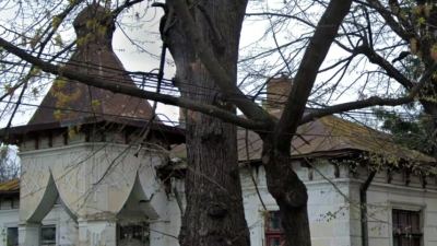 Casa Mogoș din Vaslui