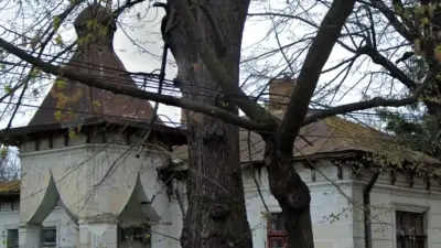 Casa Mogoș din Vaslui