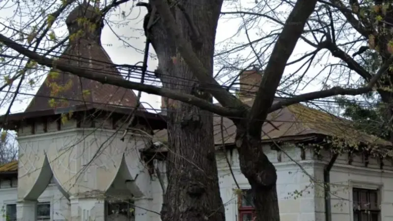 Casa Mogoș din Vaslui