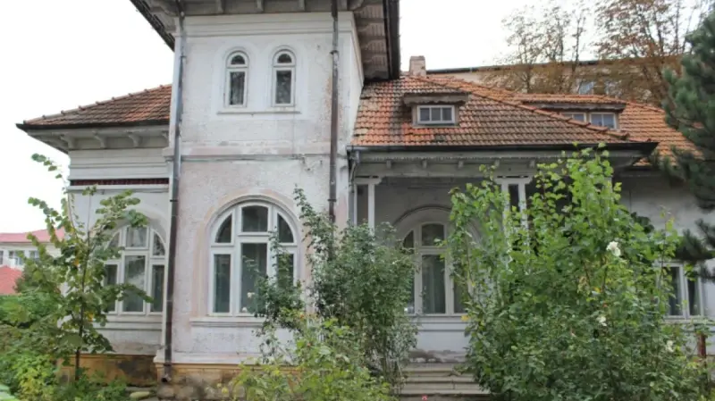 Casa Vasiliu, apoi Casa Armeanu din Bârlad, Vaslui 