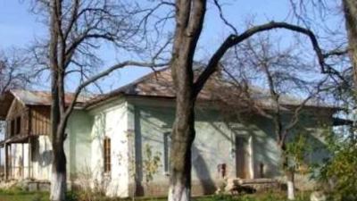 Conacul Lambrino din Butucăria, Vaslui