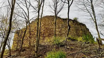 Cetatea Jdioarei, Timiș