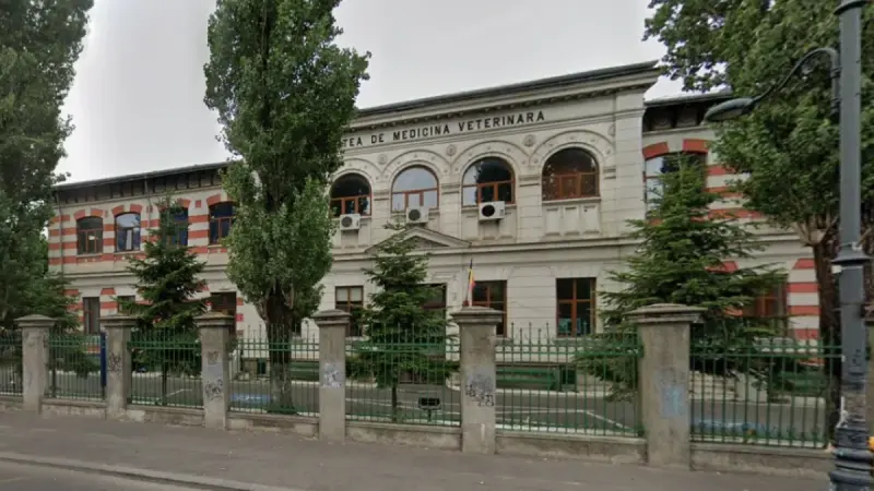 Facultatea de Medicină Veterinară din București, Splaiul Independenței