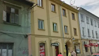 Casa Netsa Nedelkovich din Timișoara, Timiș